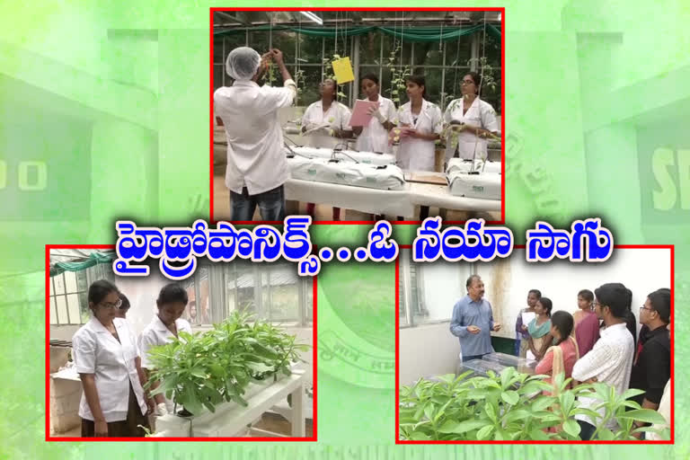 Hydroponics technique course in tiruapati venkateswara university