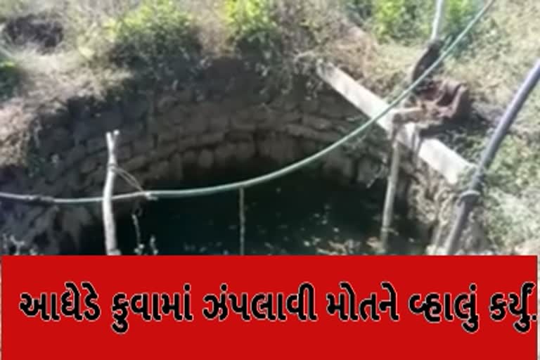 જૂનાગઢ