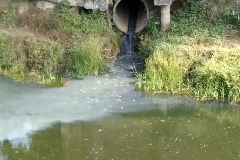 Shipra river water is poisonous due to chemical waste