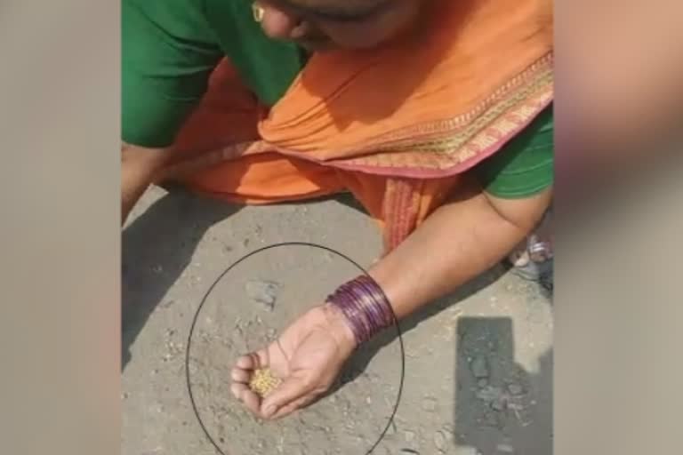 'people collecting gold' video goes viral in parbhani