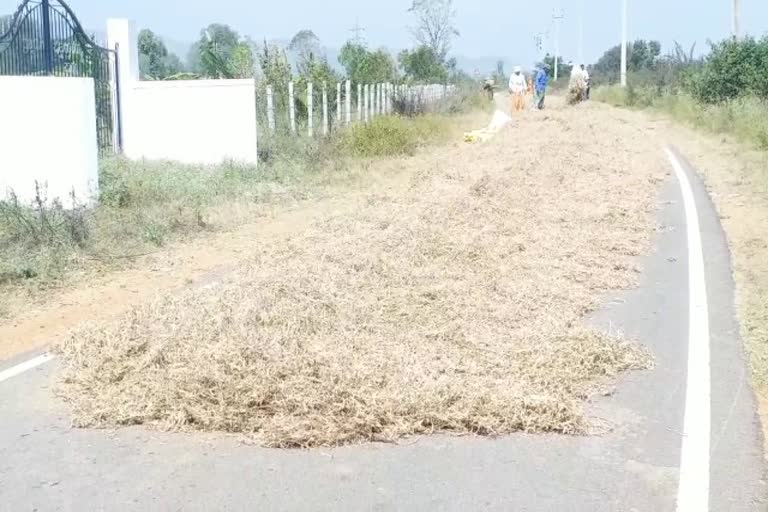 ರಸ್ತೆಯಲ್ಲಿ ಒಕ್ಕಣೆ.. ವಾಹನ ಸವಾರರಿಗೆ ಸಂಕಷ್ಟ