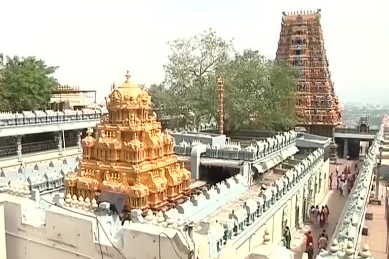 the devotees Bejawada Kanakadurgamma Inmates at vijayawada