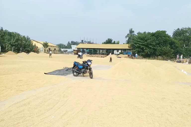 crop purchase is stopped for the farmers who does not have pass books in parakala agriculture market