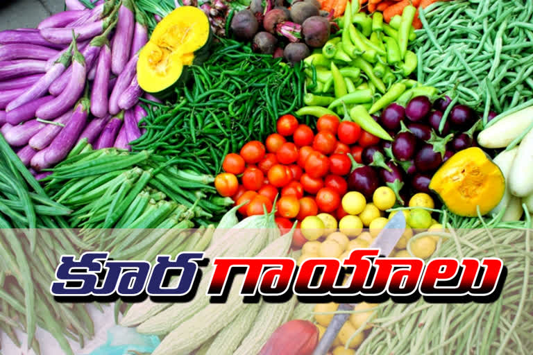 vegetables price hike in kumrambheem asifabad district