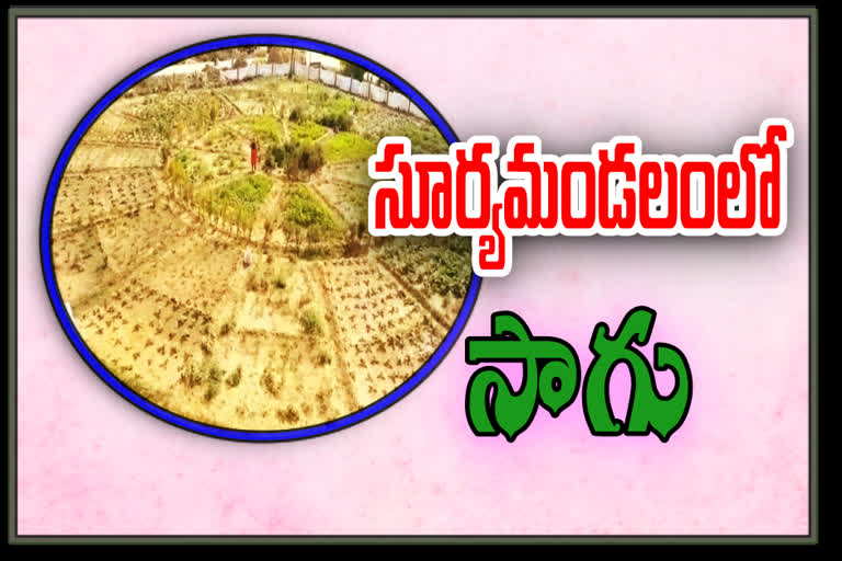 zero budget natural farming at garugubilli in vizianagaram district