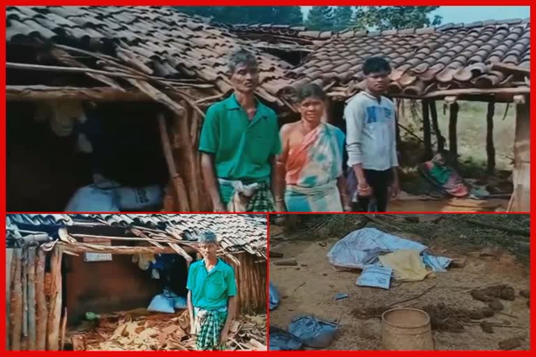 elephant-damage-house-and-crop-in-deogarh-range