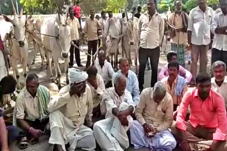 farmers protest