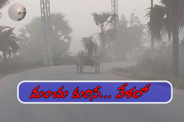 Heavy Fog at Manthani in Peddapalli district