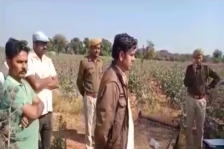 सिरोही में किसान की हत्या,  Farmer murdered in Sirohi,  सिरोही की खबर,  sirohi news