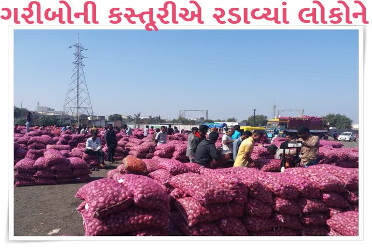 rajkot-yard-has-the-highest-bid-of-the-hinterland-ever