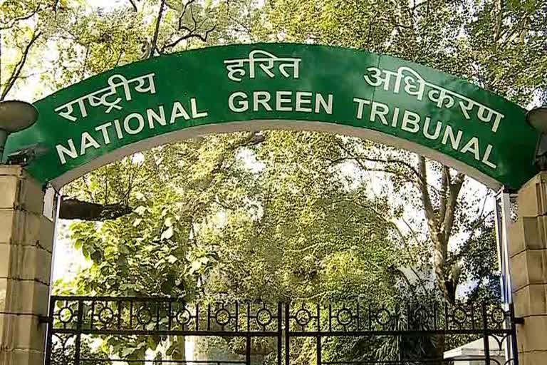 national green tribunal, बांडी नदी में अनट्रिटेड कचरा