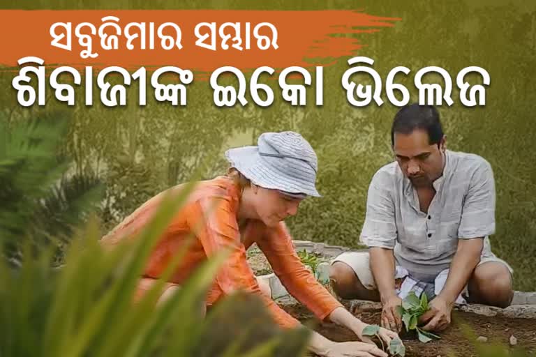 journey of shivaji panda from professor to farmer, subarnapur's shivaji panda, eco village creator shivaji panda, ଇକୋ ଭିଲେଜ ସୃଷ୍ଟିକର୍ତ୍ତା ଶିବାଜୀ ପଣ୍ଡା, ସୁବର୍ଣ୍ଣପୁରର ଶିବାଜୀ ପଣ୍ଡା, ଅଧ୍ୟାପକରୁ ଉଦ୍ୟାନ ଚାଷୀର ଶିବାଜୀଙ୍କ ଯାତ୍ରା