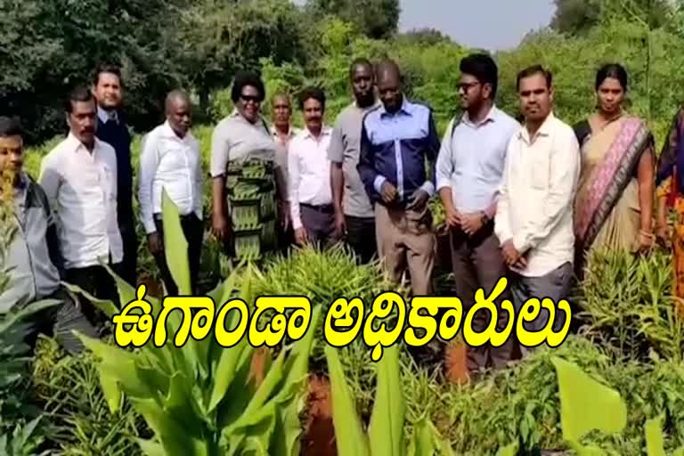 Uganda Agriculture Horticulture Officials Visit Organic farming in Sangareddy District