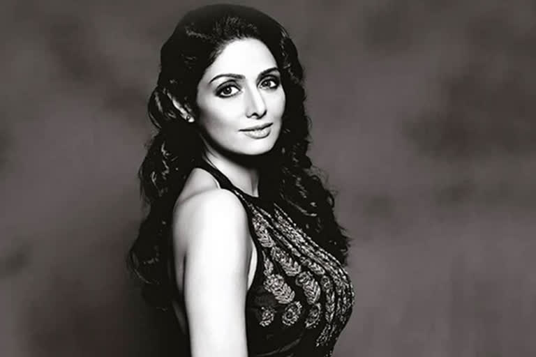 Sridevi - The Eternal Screen Goddess book