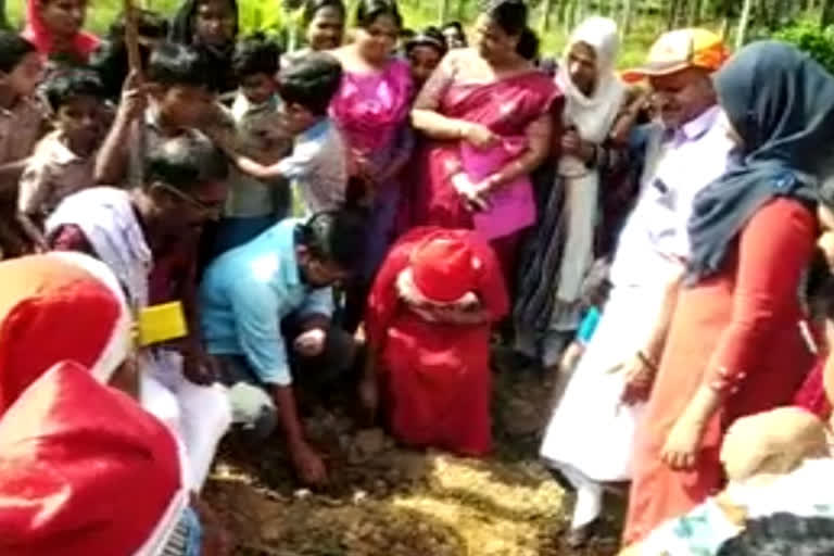 non-toxic vegetable farming  മലപ്പുറത്ത് വിഷരഹിത പച്ചക്കറി വിത്തിടൽ കർമം നടന്നു  മലപ്പുറം  malappuram  പുല്ലോട് എഎംഎൽപി സ്‌കൂൾ  pullodu amlp school