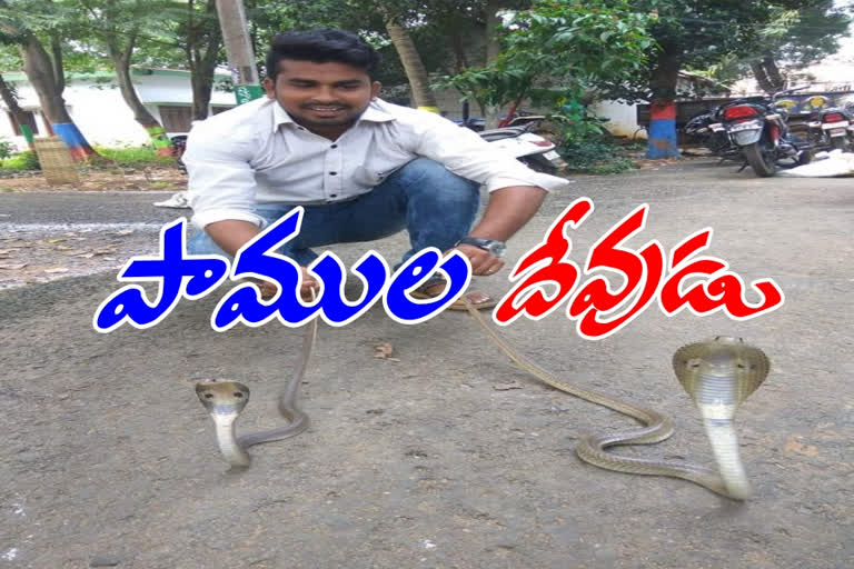 west godavari man saving snakes