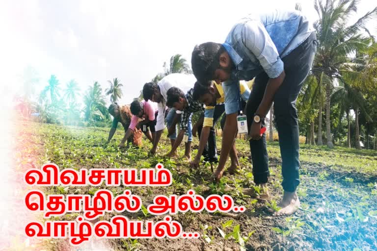 Agriculture Training at National Agricultural Research Center, Pudukkottai