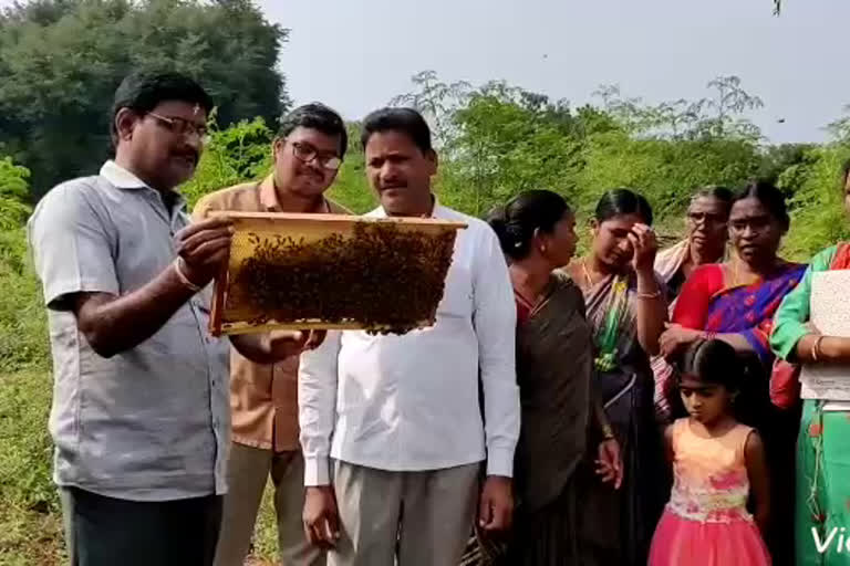 apiculture in Sangareddy district