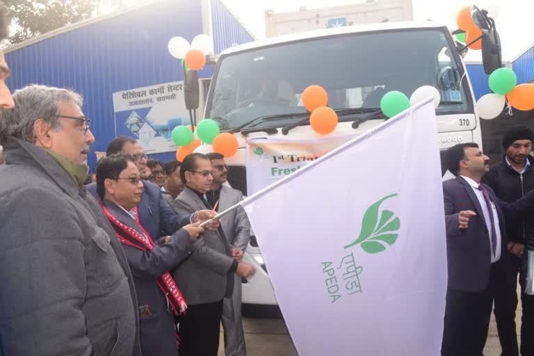 vegetables carrying truck