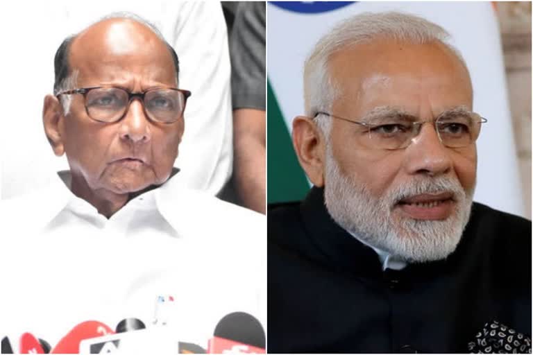 Elgar Parishad case  Activists' arrest in Elgar Parishad case  Activists' arrest in Elgar Parishad case wrong, form SIT to probe police action: Pawar