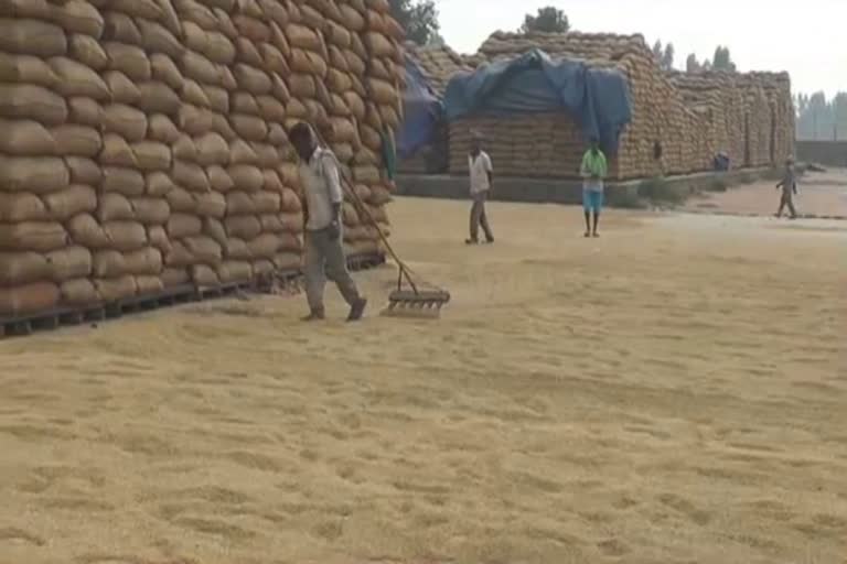 third physical verification of rice mills in ambala