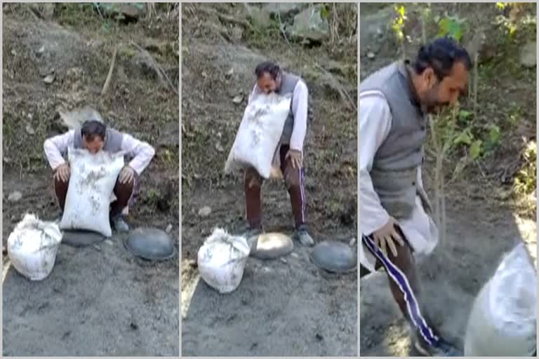 A man weighs 50 kg of cement bags from his teeth in Sirmaur