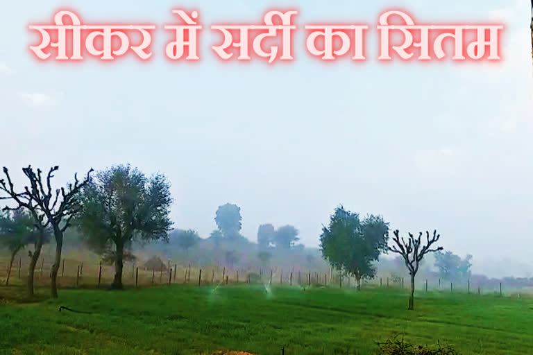 7.8 degree temperature dropped in a single day, sikar news, सीकर न्यूज