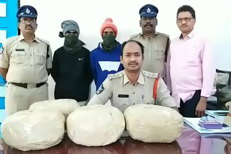 illegal  Cannabis transfer gang arrested by  Vizianagaram  police