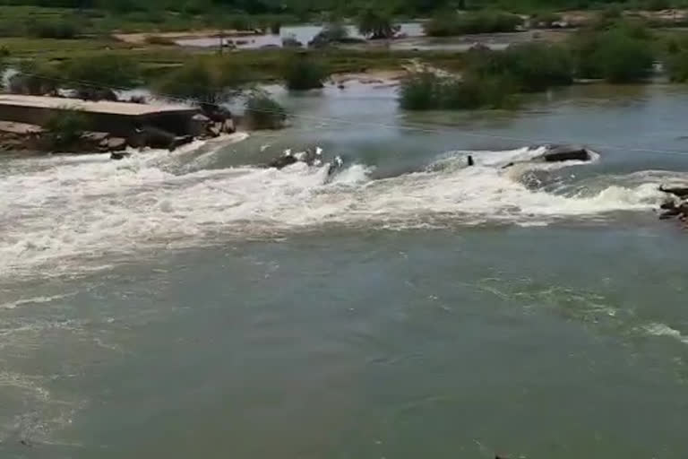 gandikota water releases to steel plant at jammalamadugu in kadapa district