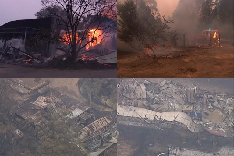 Authorities fear "dozens" of homes may have been lost when bushfires raged across New South Wales, Australia