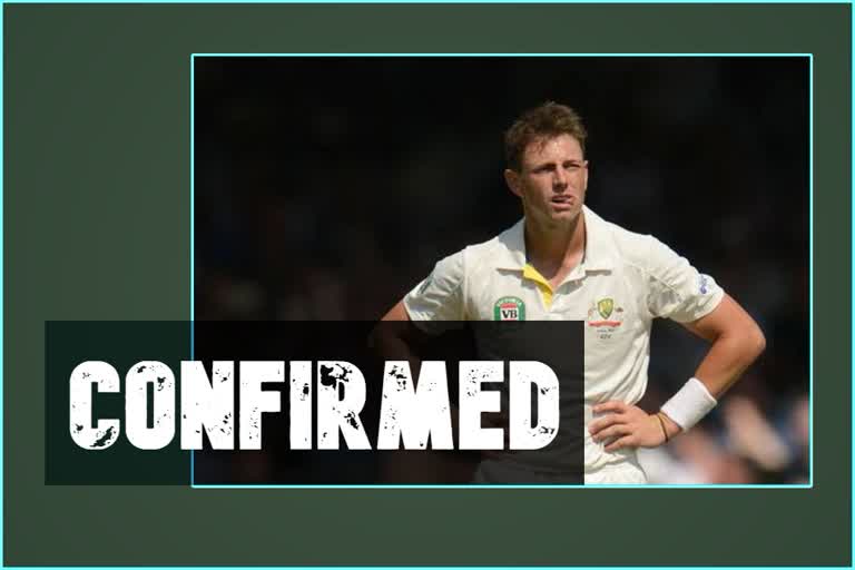 Justin Langer confirms James Pattinson