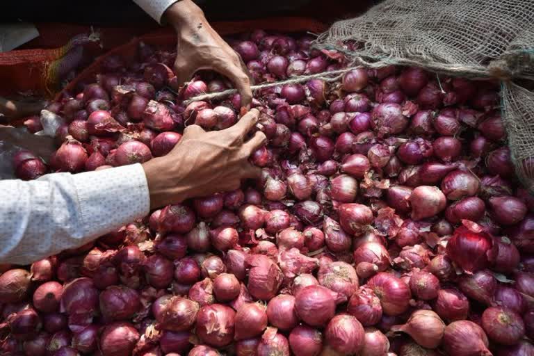 onion price hike panipat