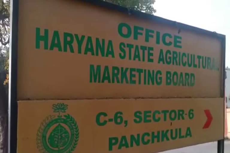 Fraud in Haryana State Marketing Board