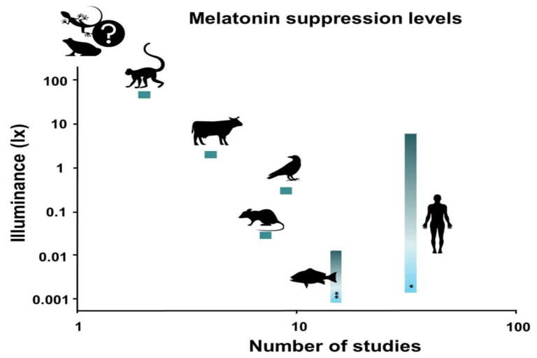 Light pollution can suppress melatonin production