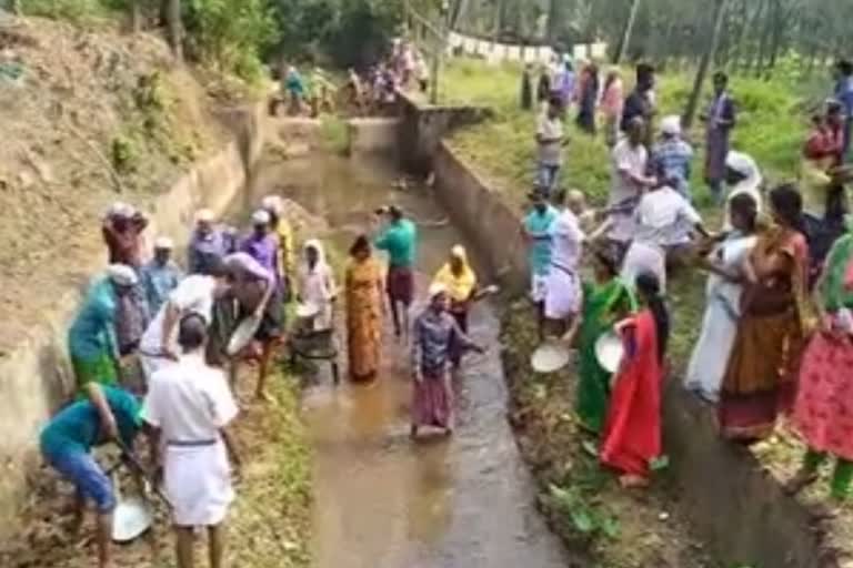 അകമ്പംടം വലിയതോട് വൃത്തിയാക്കി  Akambadam Valiya Thodu Cleaned up  ഹരിത കേരള മിഷന്‍  പി.ടി.ഉസ്മാൻ