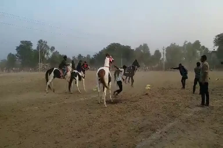 Pali Equestrian Competition, पाली न्यूज