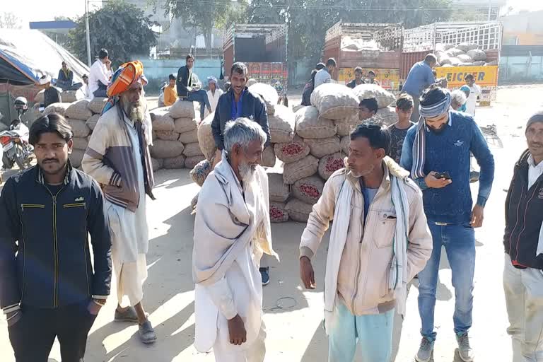 onion rate in Alwar, अलवर न्यूज