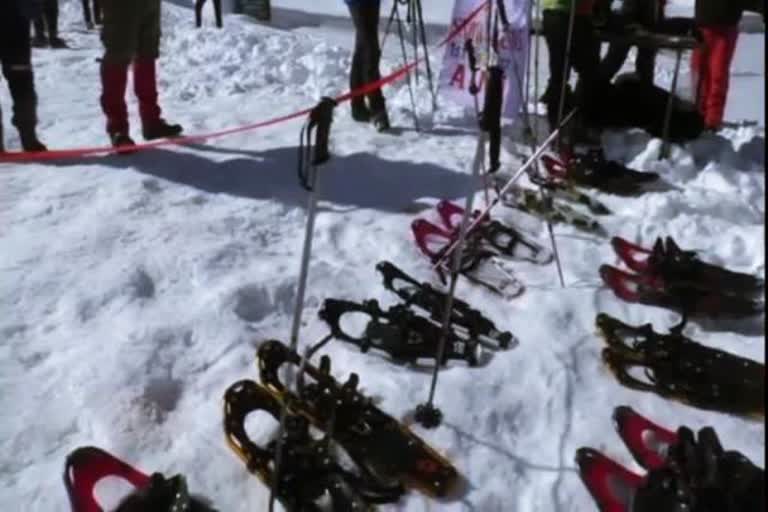 Snowshoeing  game