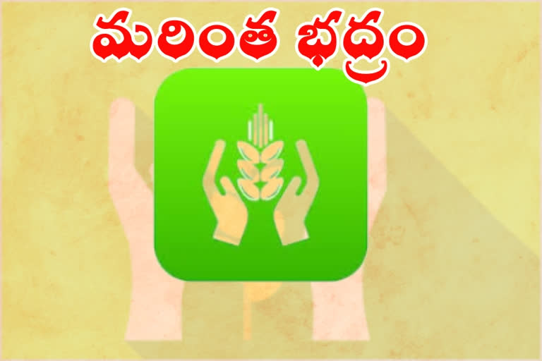 crop insurance on ap govenment  news