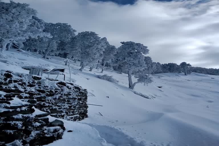 Jalori pass restored for small vehicles