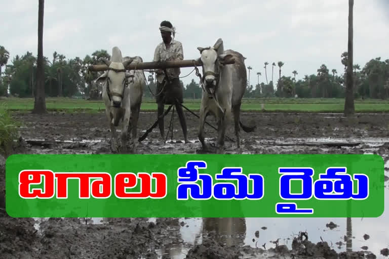 farmers-day-in-avanigadda