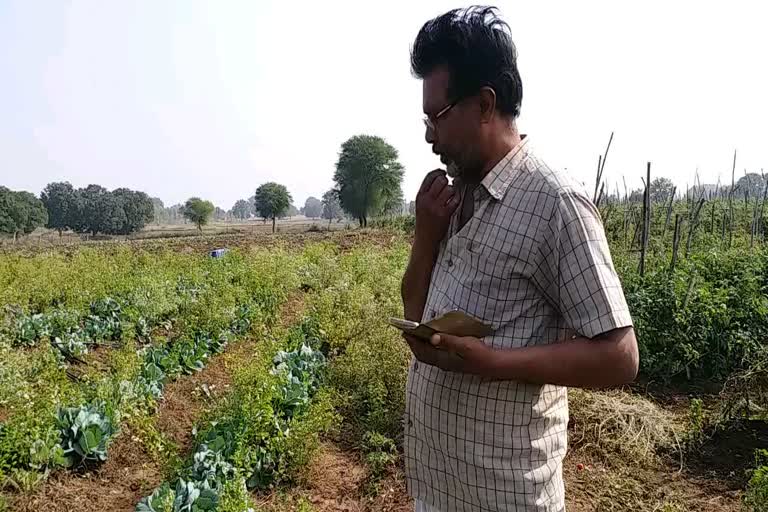 success-story-of-farmer-shetesh-jeevan-patel-in-shahdol