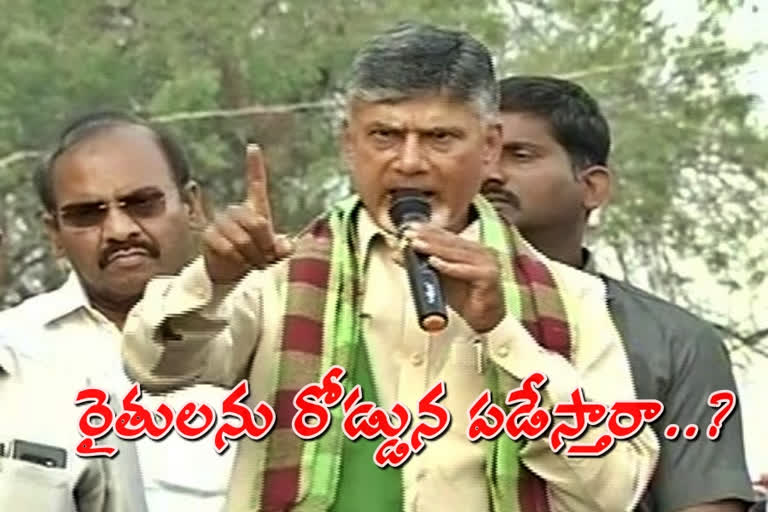 chandrababu naidu