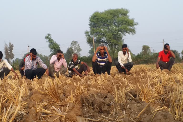 farmers waiting for government help