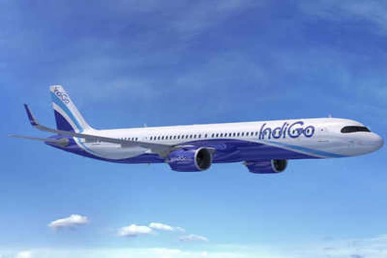 Indigo lateast offer