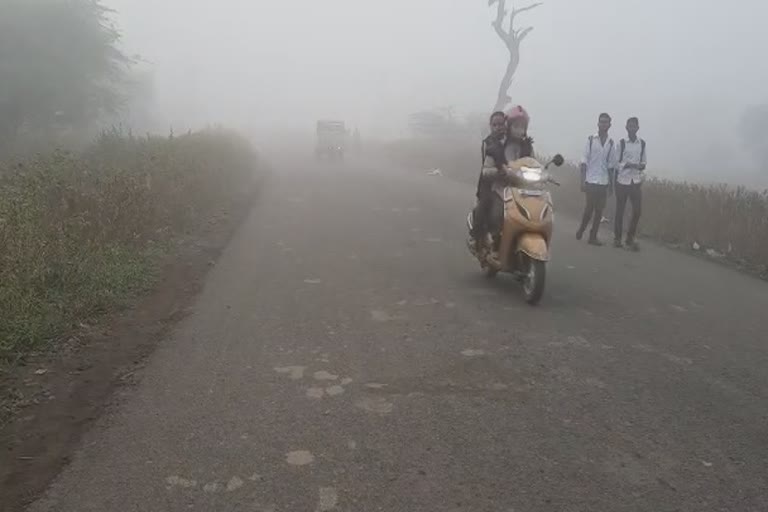 for-fog-in-jalgaon-temperature-is-decreasing-gradually