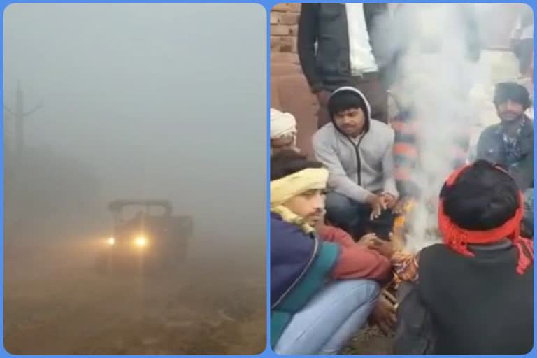 People are suffering from cold in rajakhera, People are suffering from cold and fog in rajakhera, rajakhera news, rajakhera alwar news, राजाखेड़ा अलवर न्यूज, राजाखेड़ा में सर्दी और कोहरा