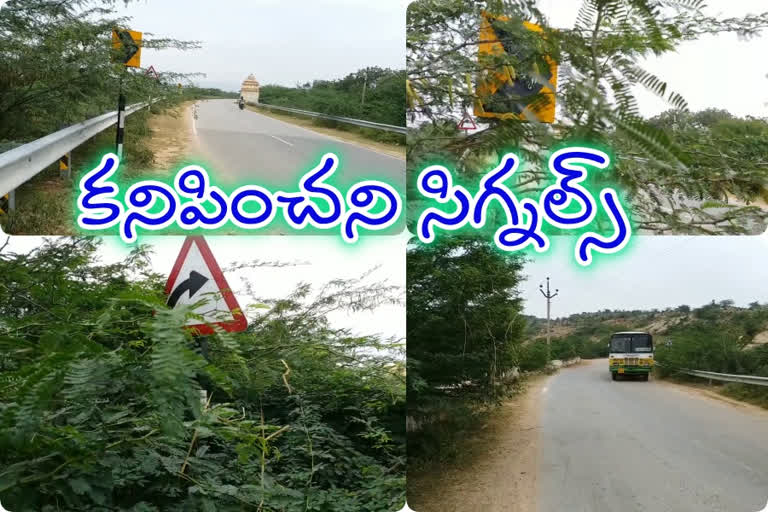 http://10.10.50.85:6060///finalout4/andhra-pradesh-nle/finalout/24-December-2019/5480368_roads.mp4