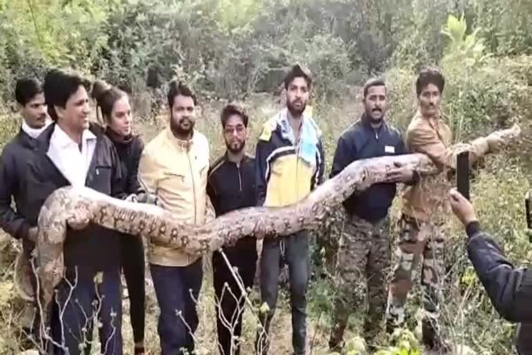 15 फिट लंबा अजगर, 15 fit long dragon