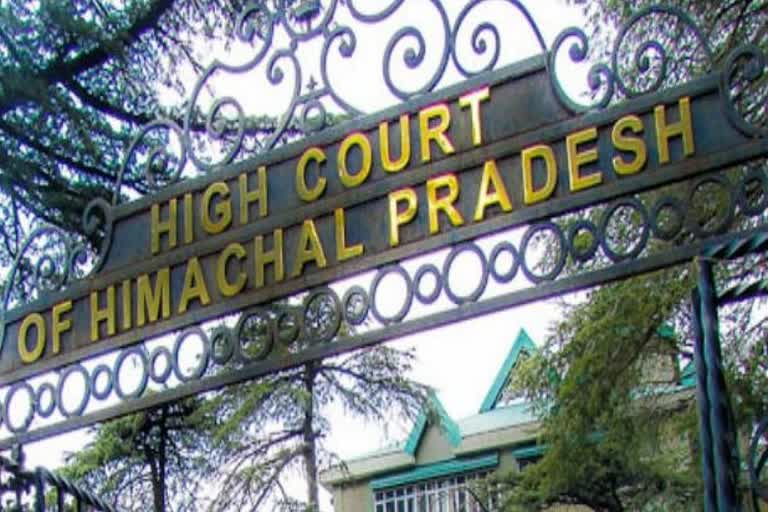 himachal high court